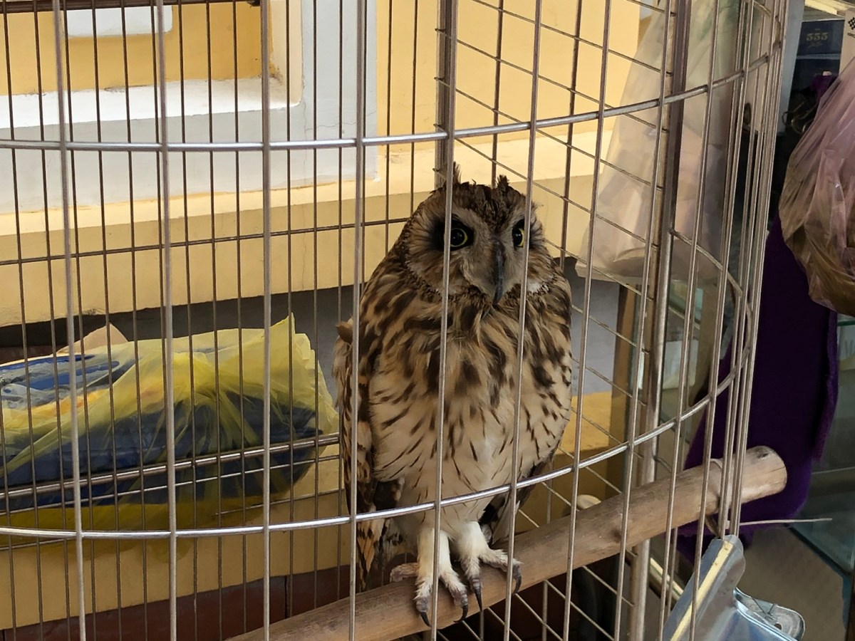 Wandr: Vietnam, Part&nbsp;Three